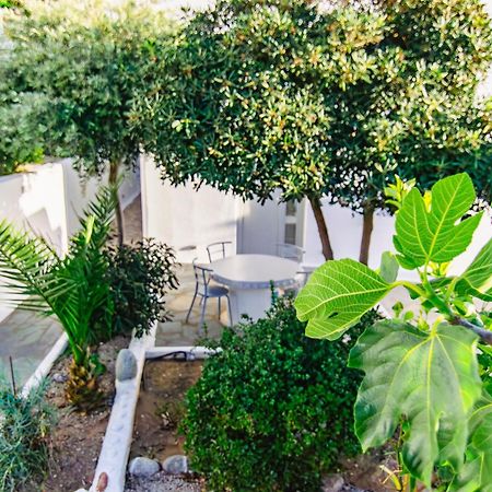 Zisis Pension Agios Stefanos  Dış mekan fotoğraf