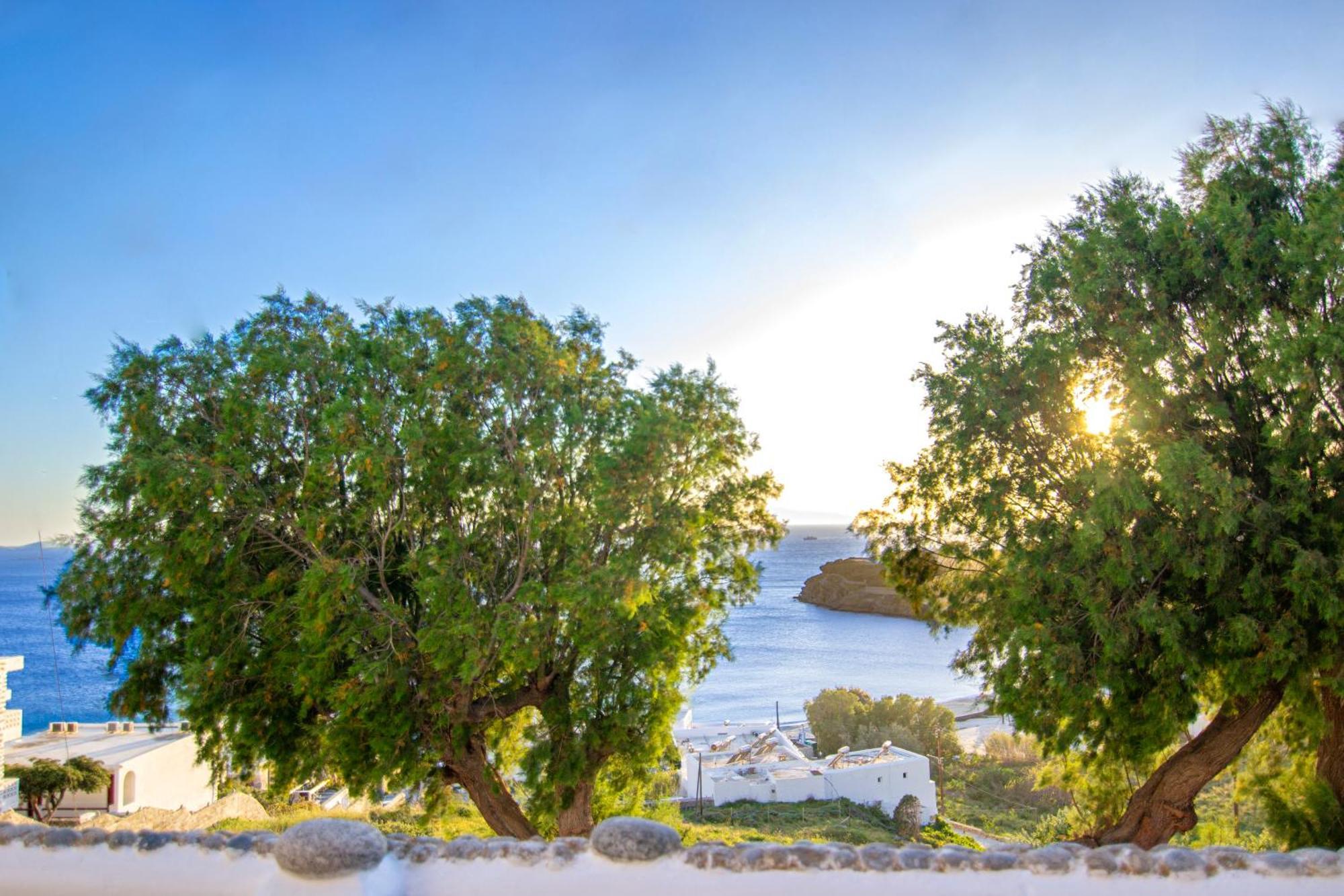 Zisis Pension Agios Stefanos  Dış mekan fotoğraf